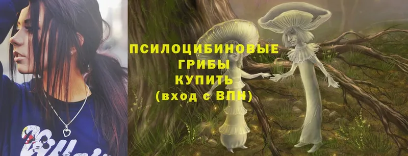 Галлюциногенные грибы Cubensis Бикин